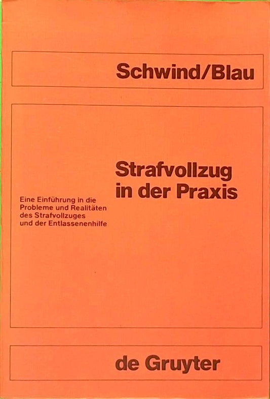 Strafvollzug in der Praxis: Eine Einführung in die Probleme und Realitäten des Strafvollzuges und der Entlassenenhilfe