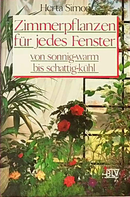 Zimmerpflanzen für jedes Fenster