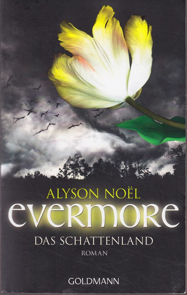 Evermore 3 - Das Schattenland: Roman