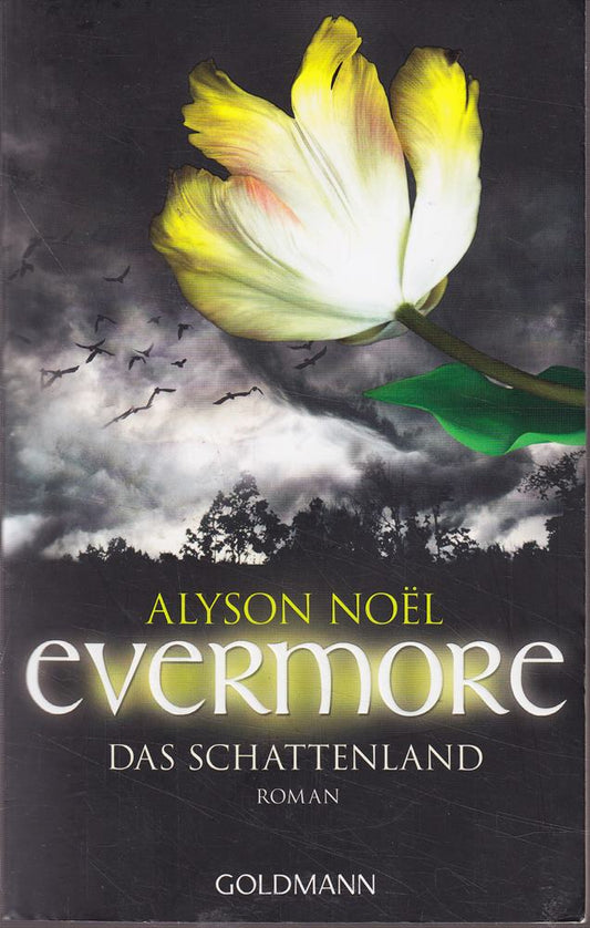 Evermore 3 - Das Schattenland: Roman