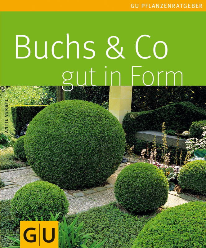 Buchs & Co. gut in Form