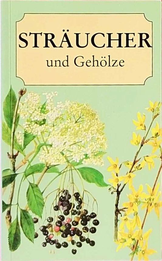 Sträucher und Gehölze