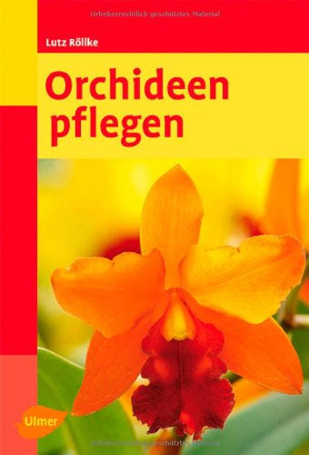 Orchideen pflegen