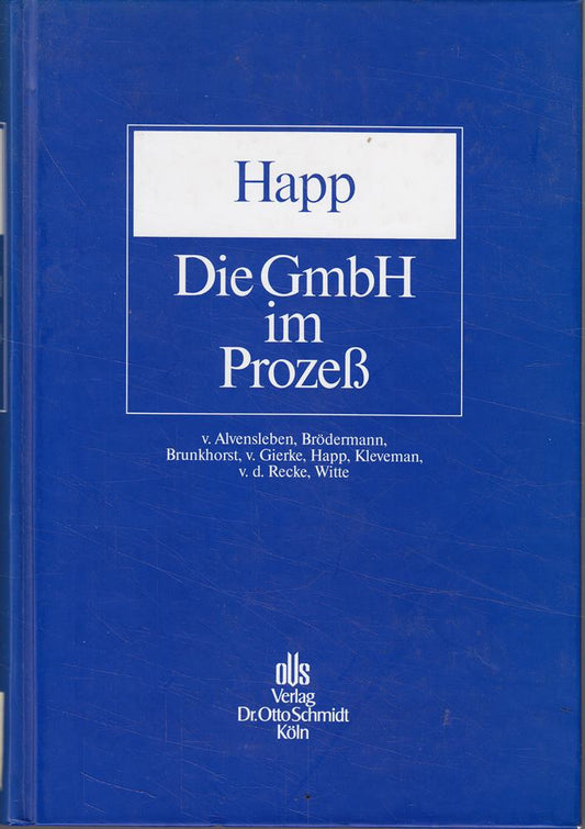 Die GmbH im Prozess