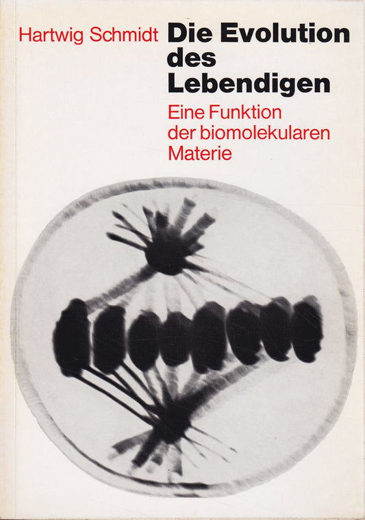 Die Evolution des Lebendigen - Eine Funktion der biomolekularen Materie