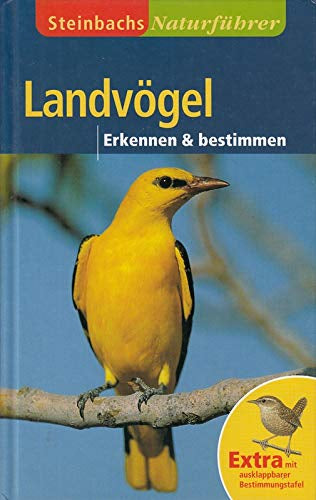 Landvögel Erkennen und Bestimmen (Erkennen und Bestimmen). Mit ausklappbarer Bestimmungstafel