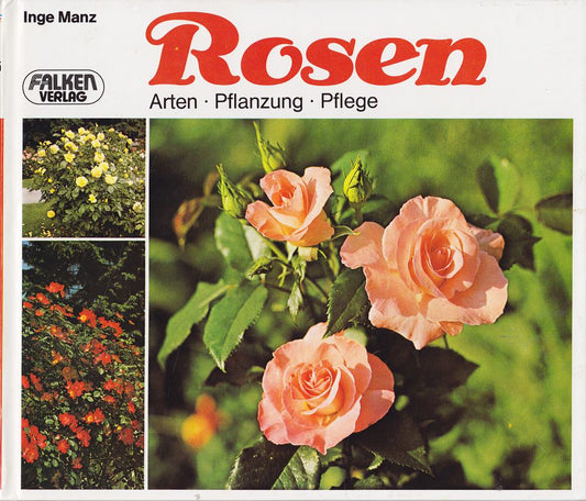Rosen : Arten  Pflanzung  Pflege.