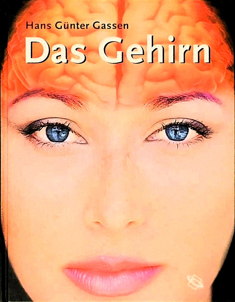 Das Gehirn