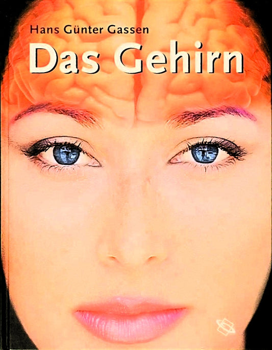 Das Gehirn