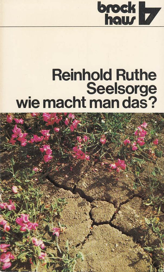 Seelsorge - wie macht man das?: Gesprächshilfen für die beratende Seelsorge (RBtaschenbücher)
