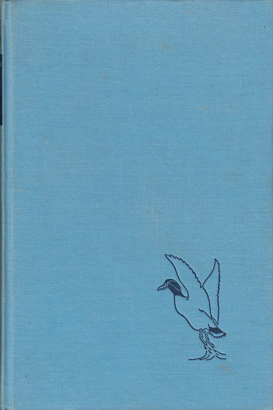 Engel das grosse Buch der Vögel  Keysersche  216 Seiten  phantastische Farbbilder