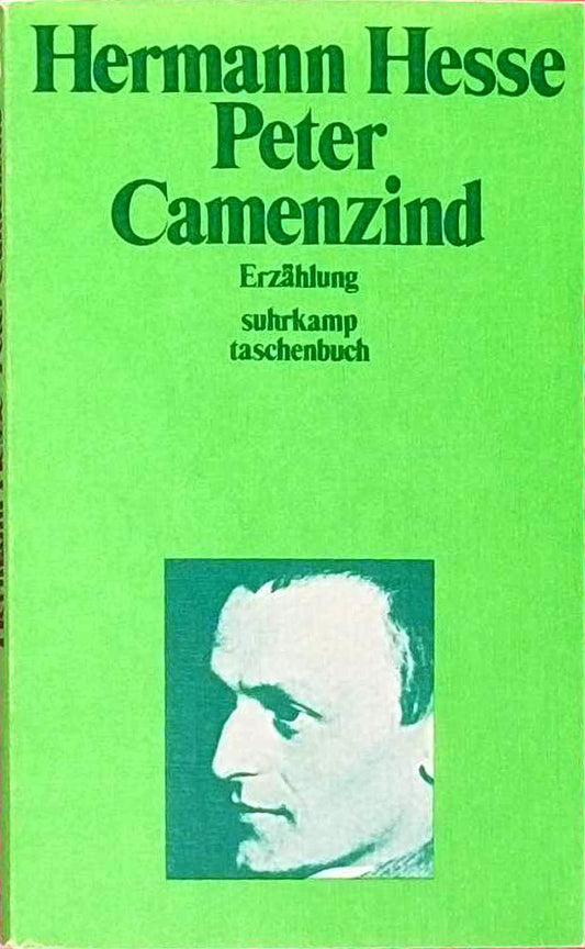 Peter Camenzind : Erzählung.