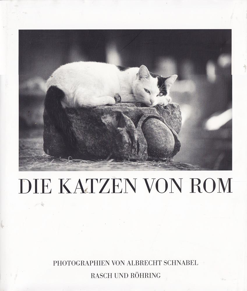 Die Katzen von Rom