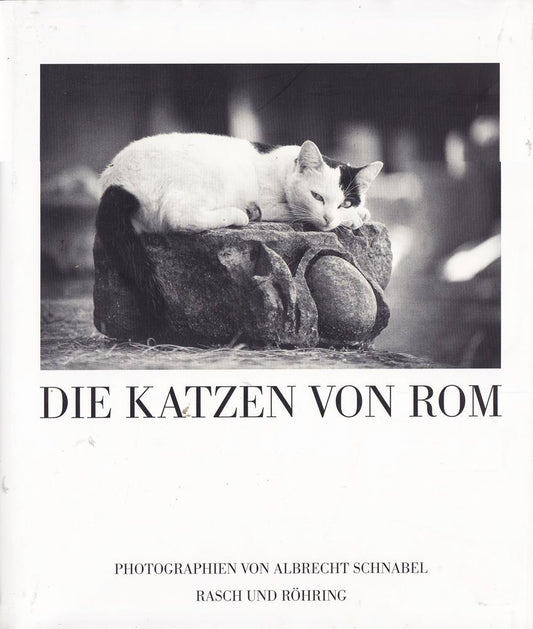 Die Katzen von Rom