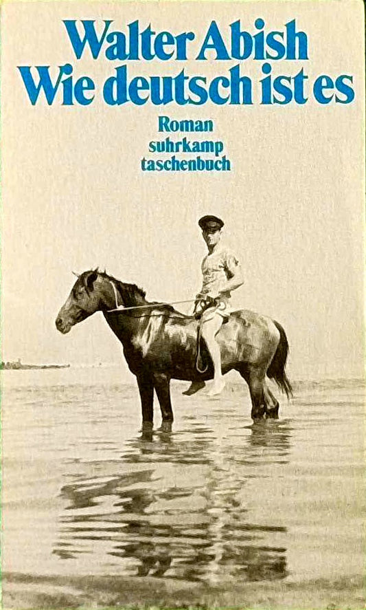 Wie deutsch ist es: Roman. Aus dem Amerikanischen übersetzt von Renate Hampke (suhrkamp taschenbuch)