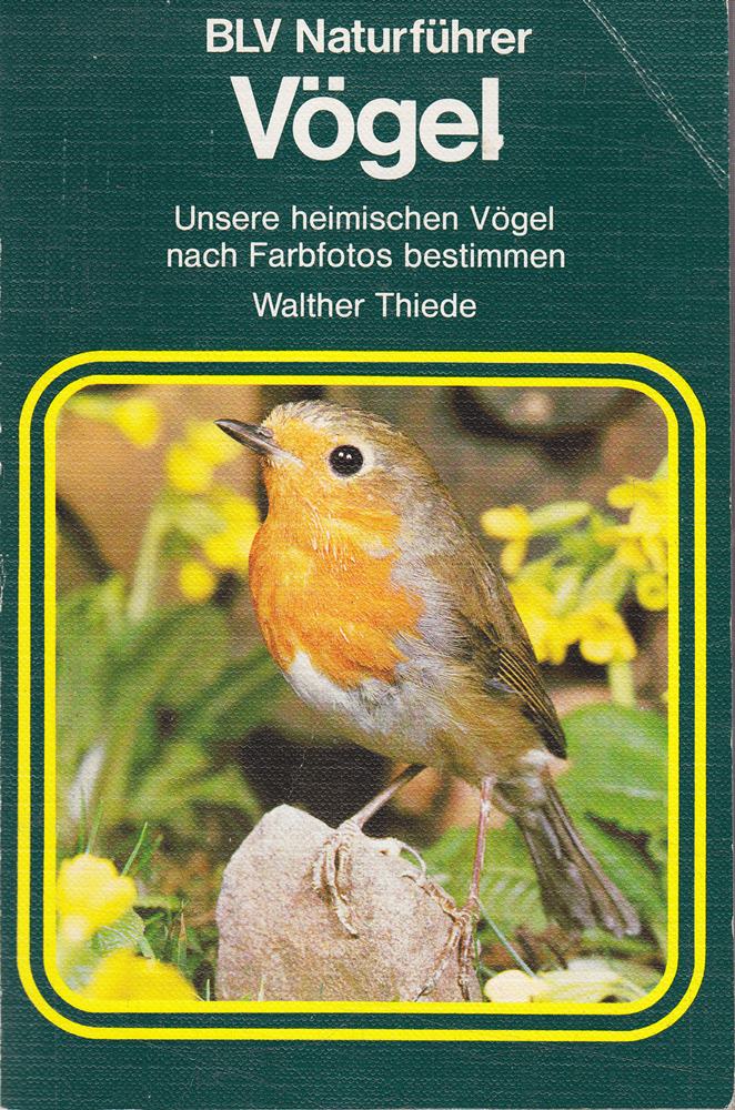 Vögel (5509 815). Unsere heimischen Vögel nach Farbfotos bestimmen