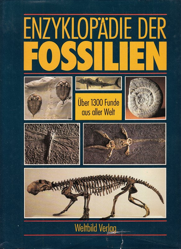 Enzyklopädie der Fossilien. Über 1300 Funde aus aller Welt