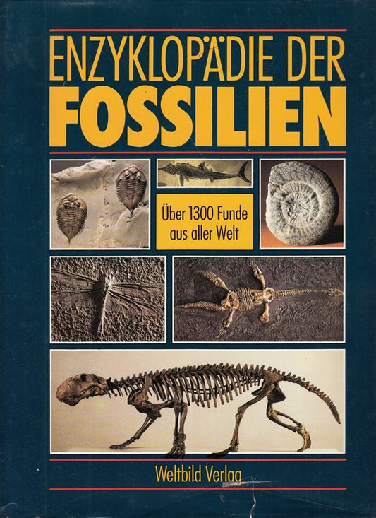 Enzyklopädie der Fossilien. Über 1300 Funde aus aller Welt