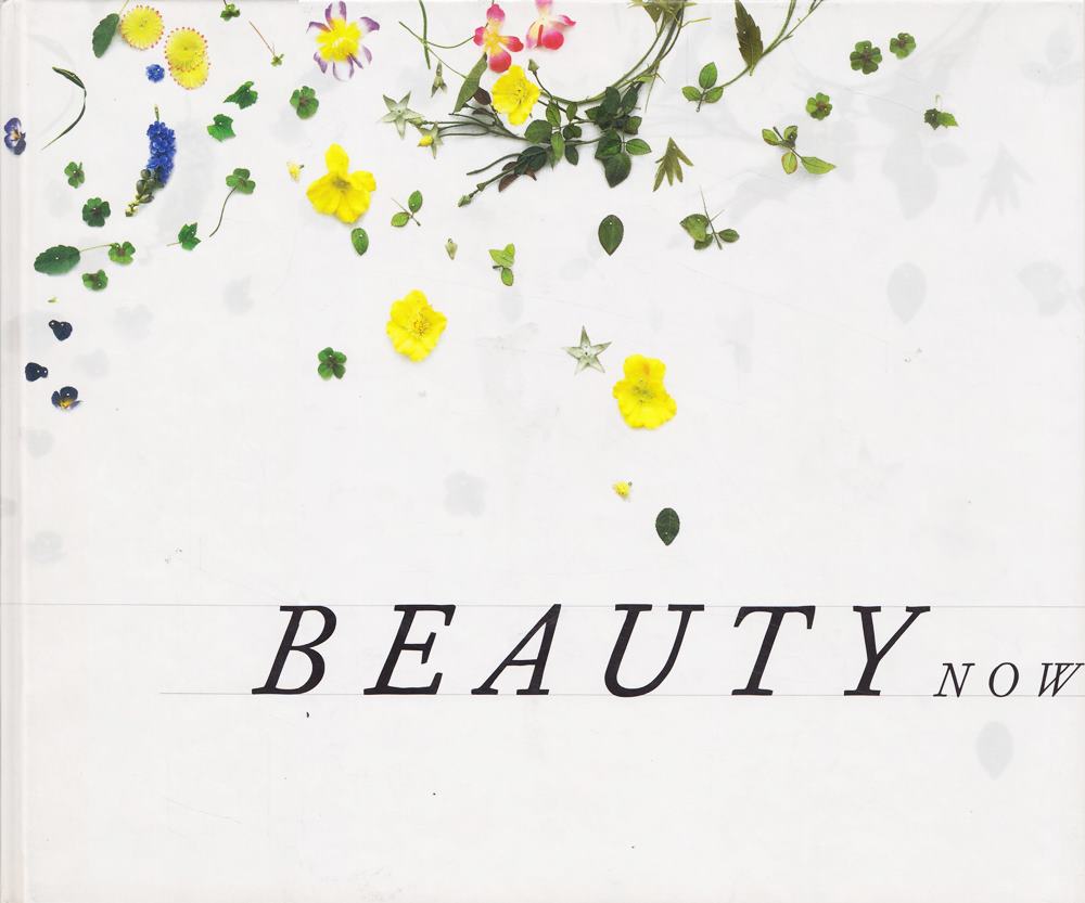 Regarding Beauty: A View of the Late Twentieth Century